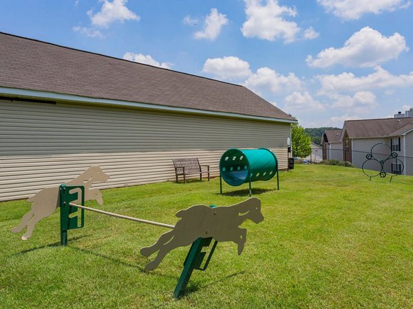Dog-friendly play area at Avana Bellevue Apartments: fenced dog park with agility equipment and seating