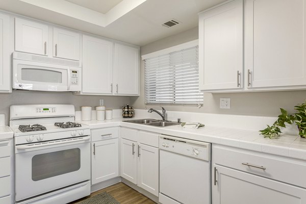 Modern kitchen with stainless steel appliances at Colony Parc Apartments