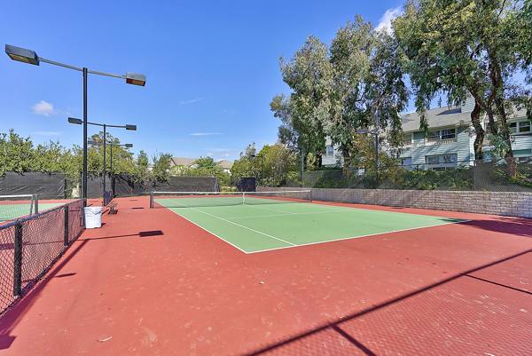 sport court at Colony Parc Apartments