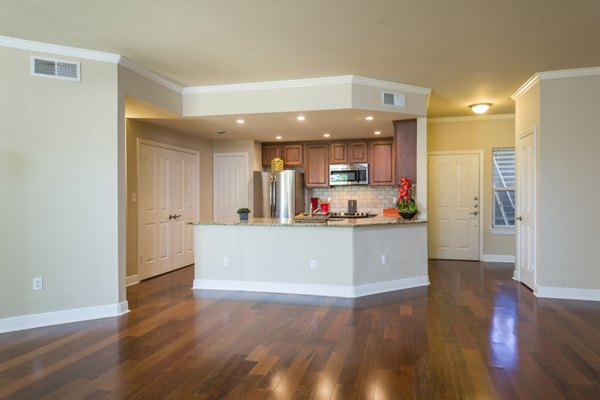 Open kitchen with modern appliances in Somerset Townhomes