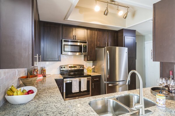 Modern kitchen with stainless steel appliances and granite countertops in Somerset Townhomes