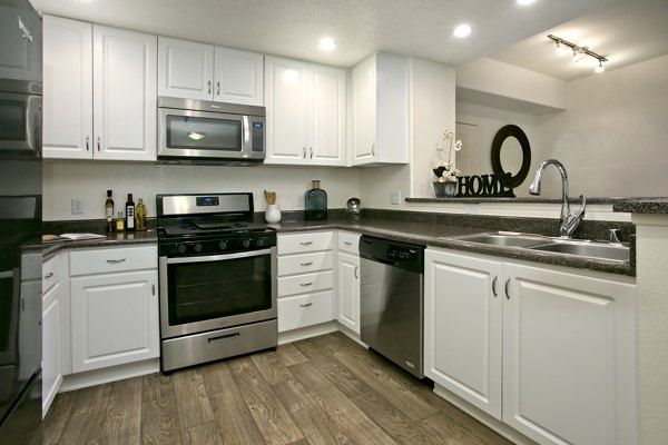 Modern kitchen with stainless steel appliances in Parc Chateaux Apartments, luxury living by Greystar