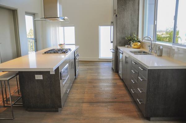 kitchen at 201 Marshall Apartments