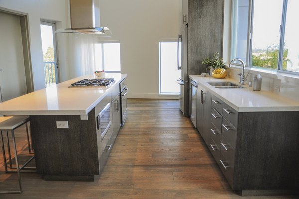 Kitchenaid stainless steel appliances and granite countertops in the modern kitchen at 201 Marshall Apartments