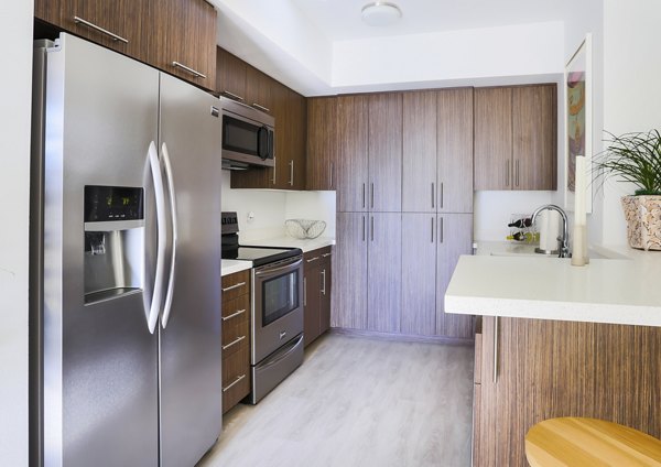 Modern kitchen featuring sleek countertops and stainless-steel appliances in 201 Marshall Apartments