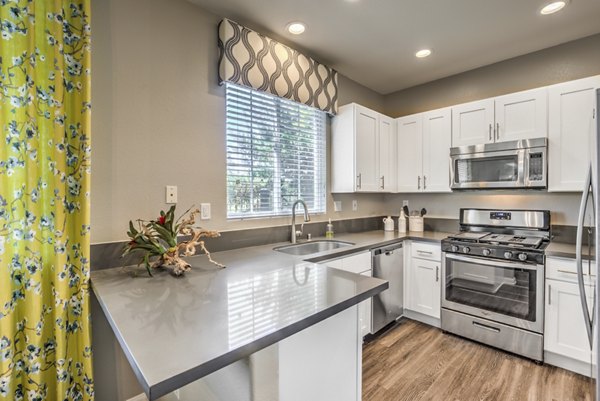 Modern kitchen with stainless steel appliances at Signature Point Apartments offering luxury living