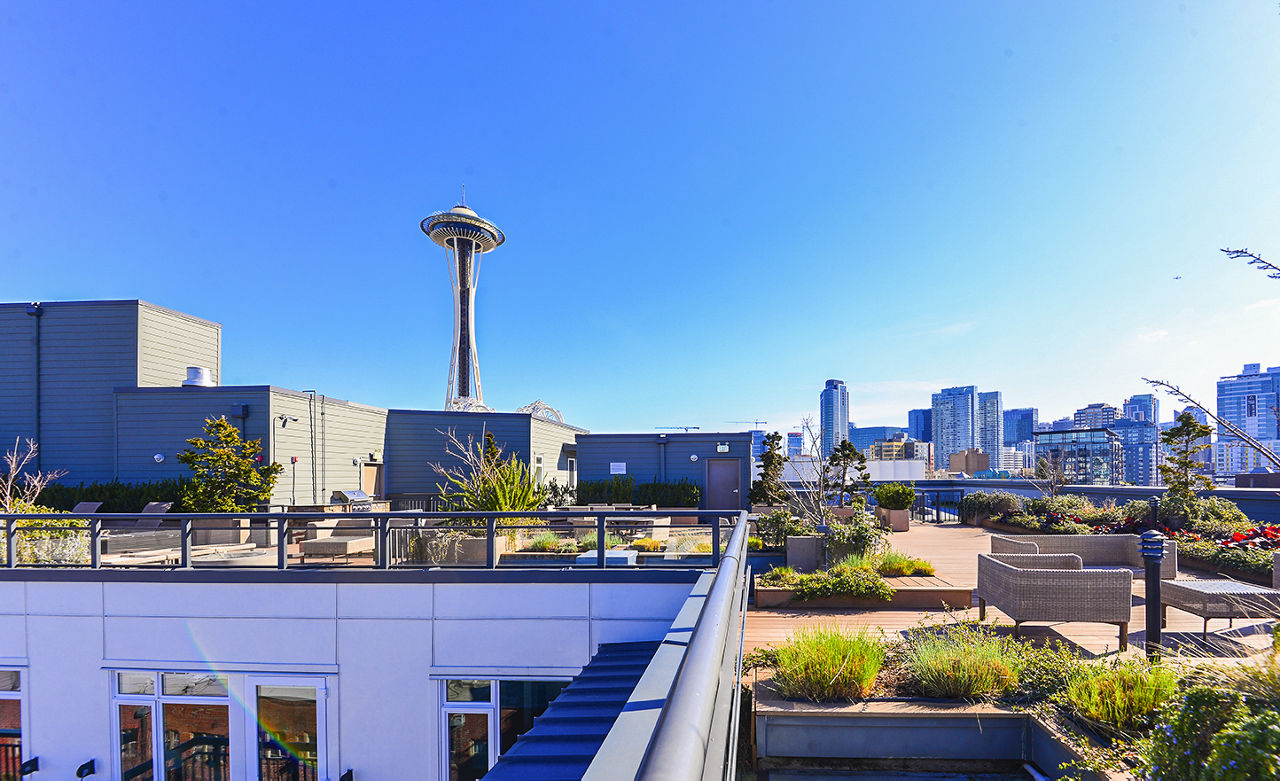 Axis Apartments Seattle Wa 6 of 12