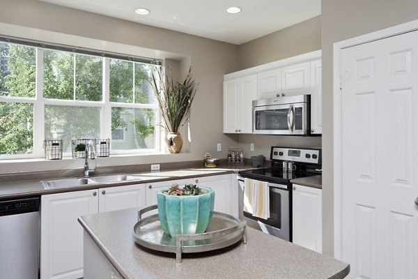 Modern kitchen with stainless steel appliances in Lions Gate South Apartments