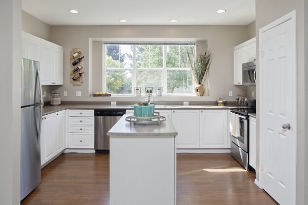 Modern kitchen with stainless steel appliances in Lions Gate South Apartments