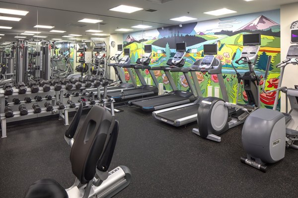 Modern fitness center with state-of-the-art equipment at The Wyatt Apartments luxury community