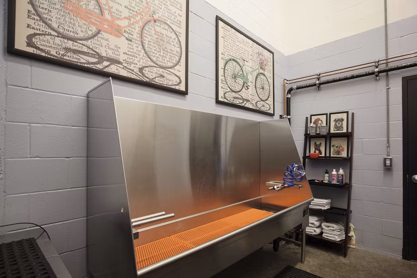 Dog wash station with pet-friendly features at The Wyatt Apartments