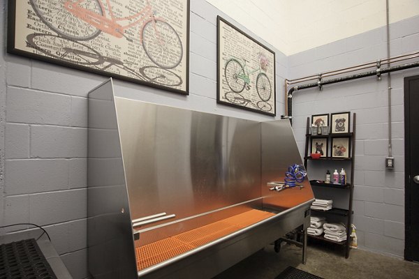 Dog wash station with pet-friendly features at The Wyatt Apartments