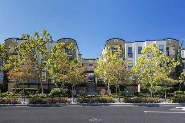 Bridgepointe Apartments: Luxury view of modern apartments in a scenic location