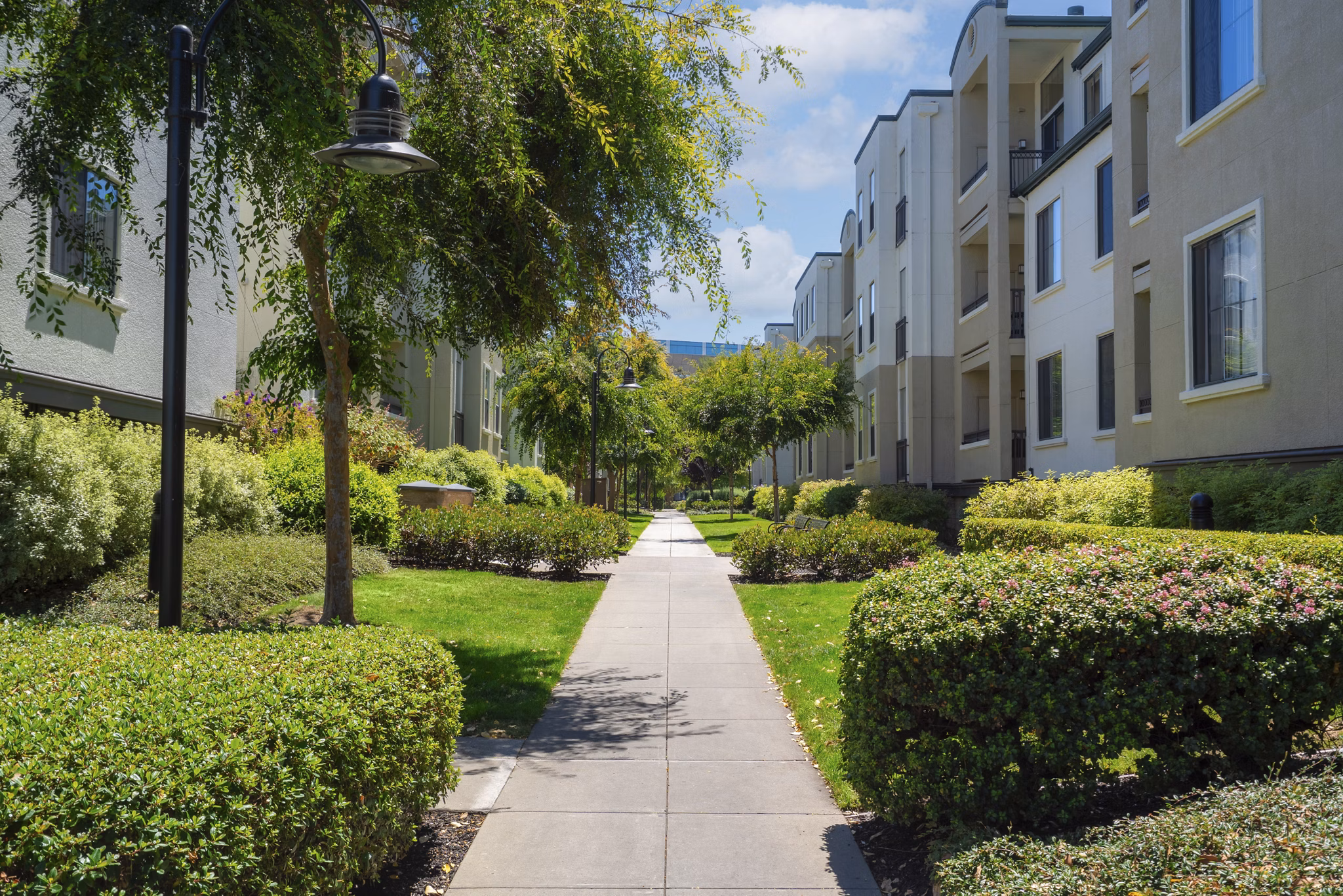 Recreational Area at Bridgepointe Apartments