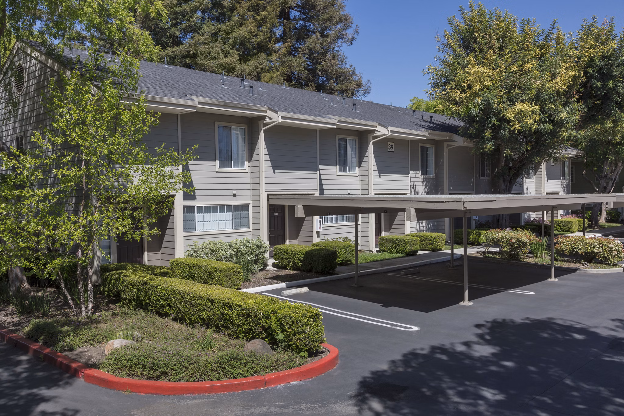 Central Park at Whisman Station: Stunning of luxury apartments in vibrant Mountain View