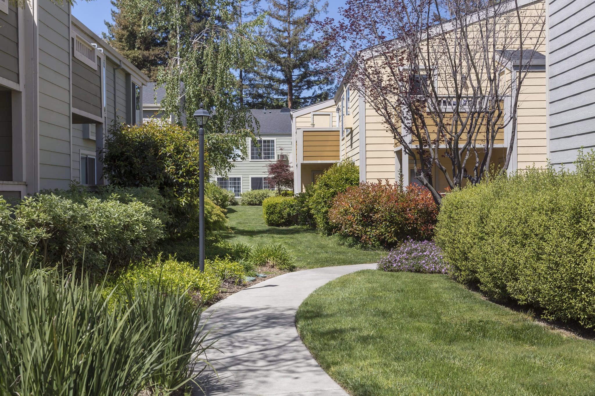 Central Park at Whisman Station: Modern luxury apartments in a vibrant neighborhood
