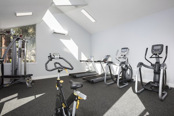 State-of-the-art fitness center at Central Park at Whisman Station Apartments with modern equipment and spacious workout areas
