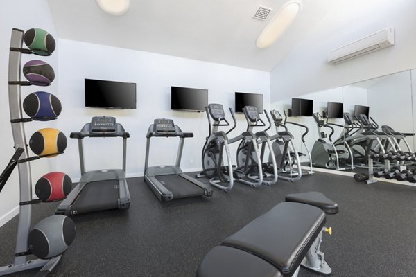 State-of-the-art fitness center at Central Park at Whisman Station Apartments with modern equipment and spacious workout areas