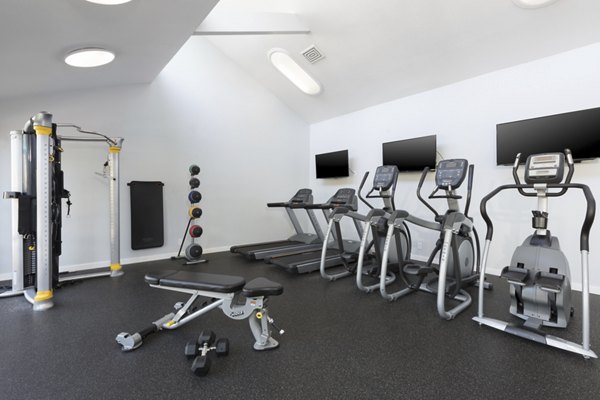 Modern fitness center with state-of-the-art equipment at Central Park at Whisman Station Apartments