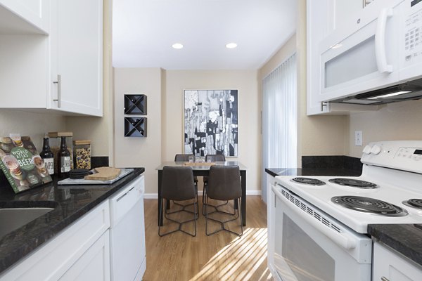 Modern kitchen with stainless steel appliances at Central Park at Whisman Station Apartments