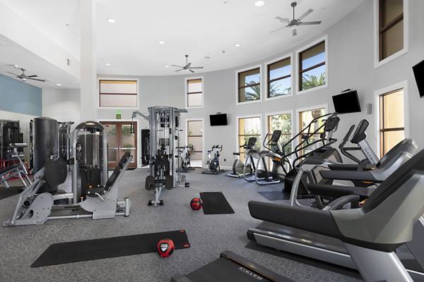 fitness center at Domicilio Apartments