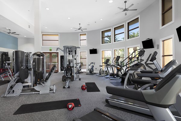 Fitness center with modern equipment at Domicilio Apartments for active living