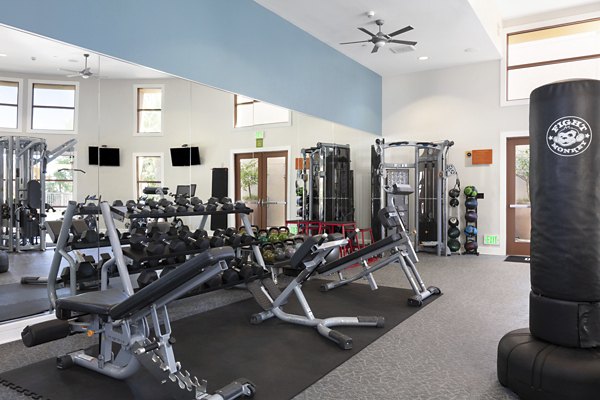 Modern fitness center with state-of-the-art equipment at Domicilio Apartments