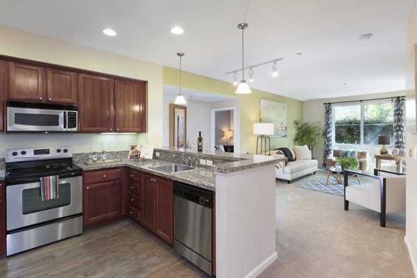 Modern kitchen with stainless steel appliances and granite countertops at Domicilio Apartments