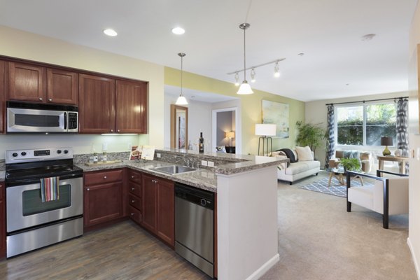 kitchen at Domicilio Apartments