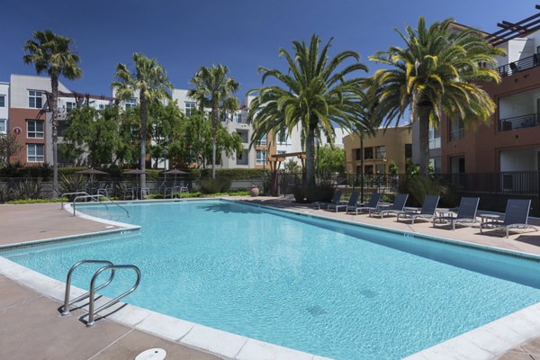 Luxurious outdoor pool at Domicilio Apartments, featuring comfortable loungers and landscaped surroundings for a relaxing experience