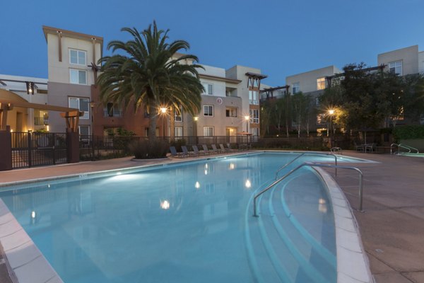 Aerial view of the sleek outdoor pool surrounded by lush landscaping at Domicilio Apartments