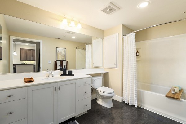 Elegant bathroom with marble finishes in Elements Apartments, a Greystar luxury property