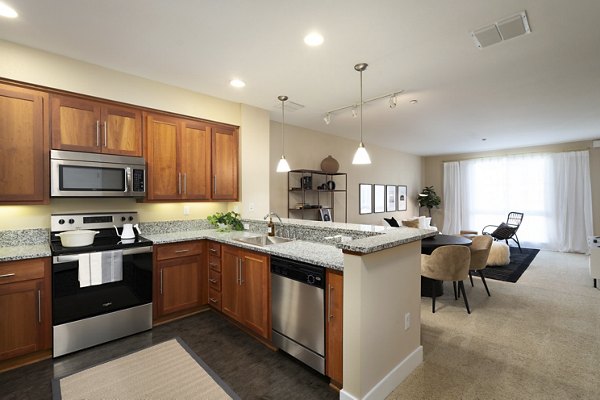 Modern kitchen featuring sleek countertops and stainless steel appliances at Elements Apartments
