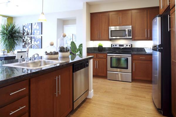 kitchen at Elements Apartments