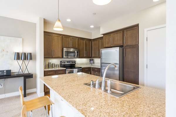 Modern kitchen with stainless steel appliances in Mosaic Apartments, a Greystar luxury community