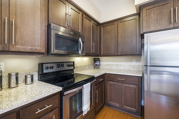 Modern kitchen with stainless steel appliances at Mosaic Apartments, offering luxury living in a contemporary setting