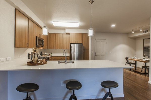 Modern kitchen with sleek countertops and stainless steel appliances at The Artisan Apartments
