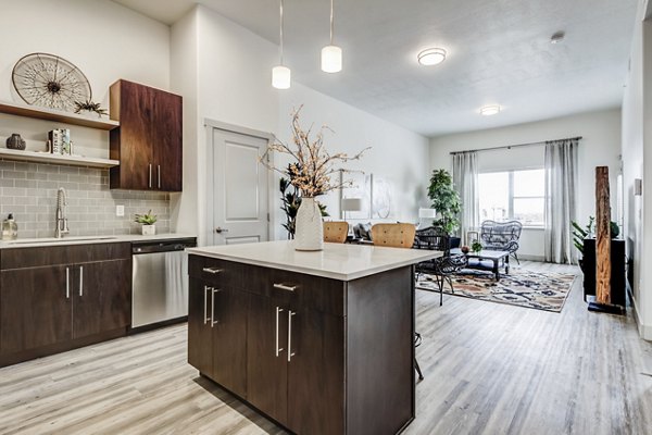 kitchen at Parkway Lofts Apartments