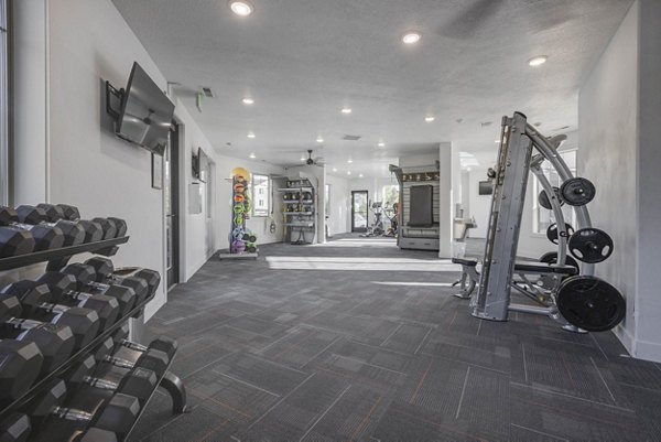 State-of-the-art fitness center with a variety of equipment at the Villas on Main Apartments