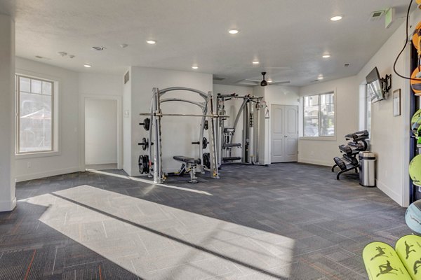 State-of-the-art fitness center with modern equipment at the Villas on Main Apartments