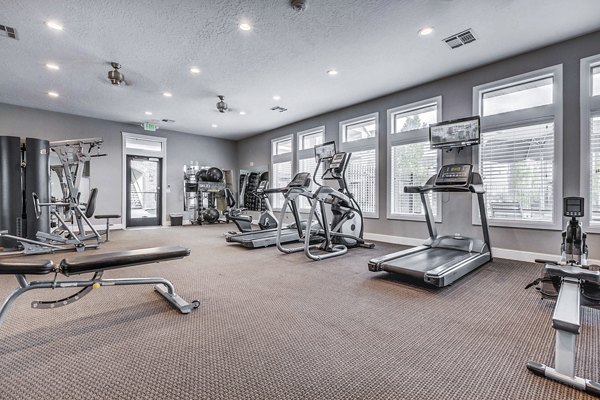 State-of-the-art fitness center with modern equipment at Pinnacle Highbury Apartments for wellness-focused living