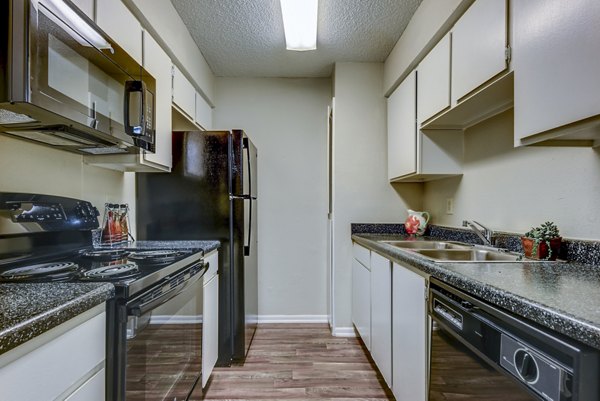Sleek modern kitchen featuring stainless steel appliances in Woods of Elm Creek Apartments