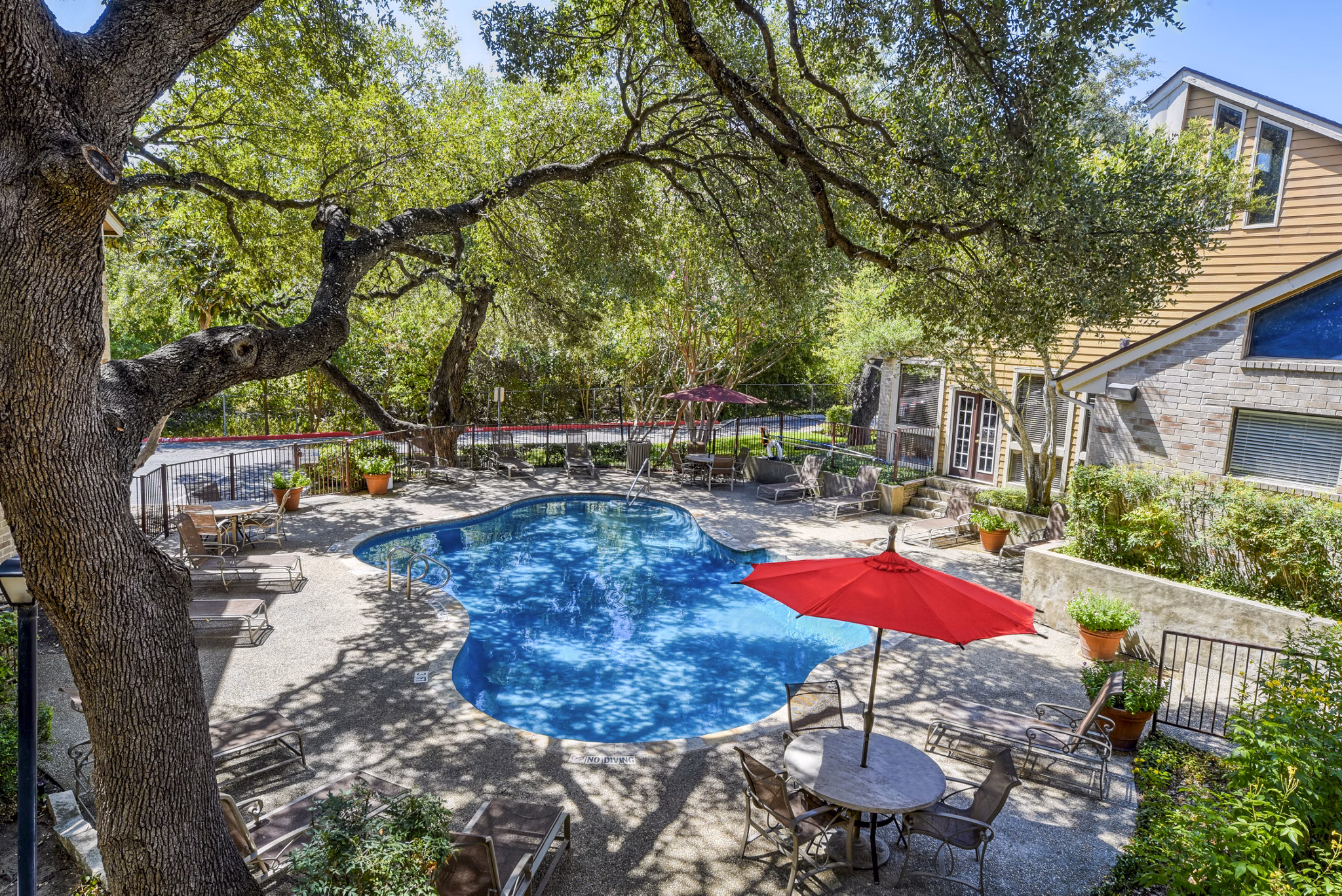 Luxury pool surrounded by lush greenery at Woods of Elm Creek Apartments