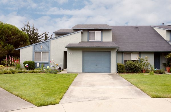 Abrams Park: Contemporary apartment in quiet neighborhood, perfect blend of luxury and comfort