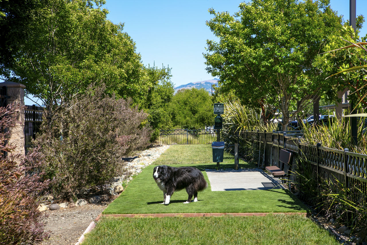 Dog park at Fiori Estates