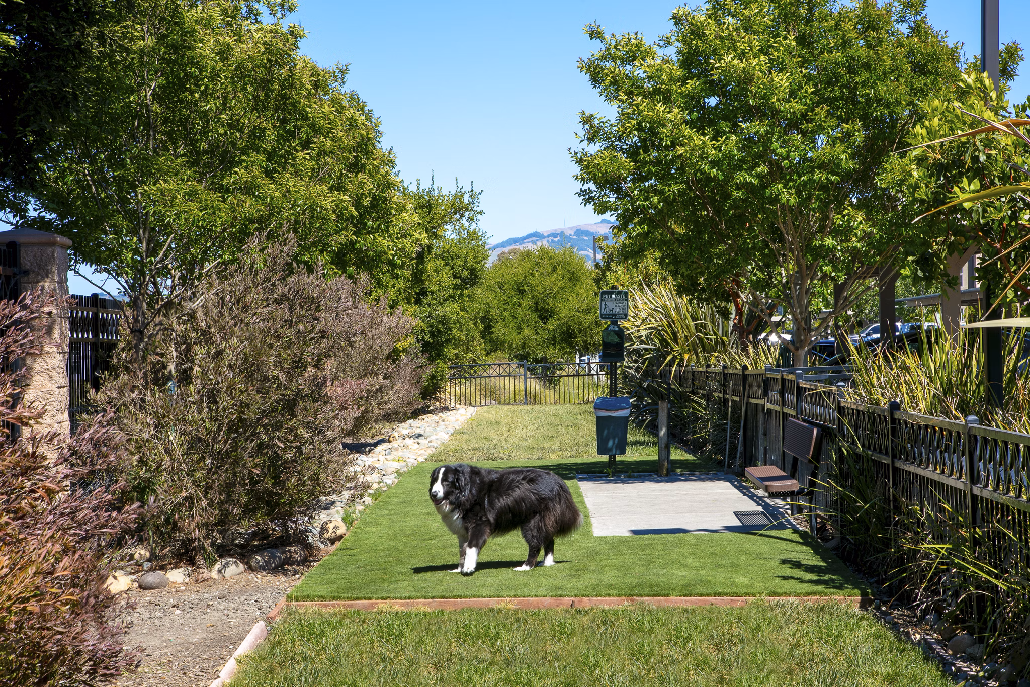 Spacious dog park with agility equipment at Fiori Estates Apartments, perfect for pet-friendly living and outdoor play