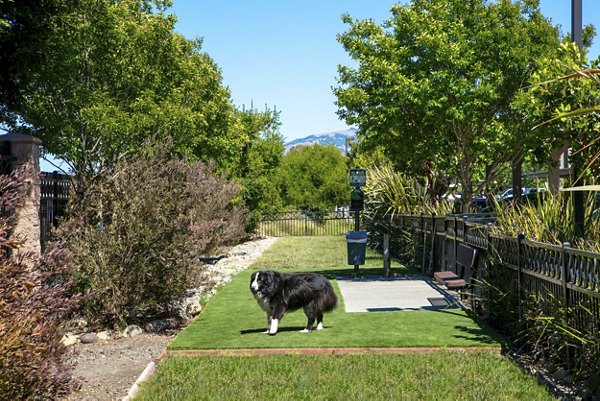 Spacious dog park with agility equipment at Fiori Estates Apartments, perfect for pet-friendly living and outdoor play