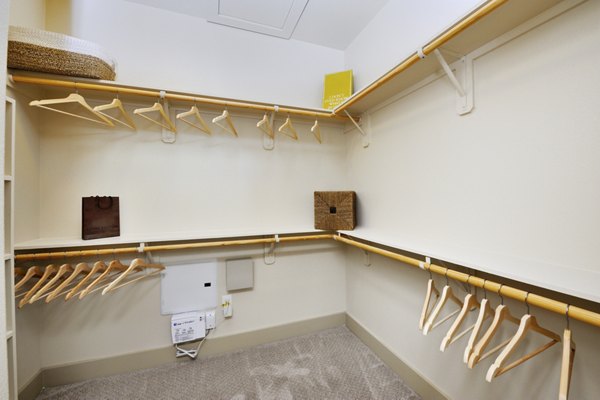 Bedroom closet with built-in shelves at The Townhomes at Woodmill Creek luxury apartments