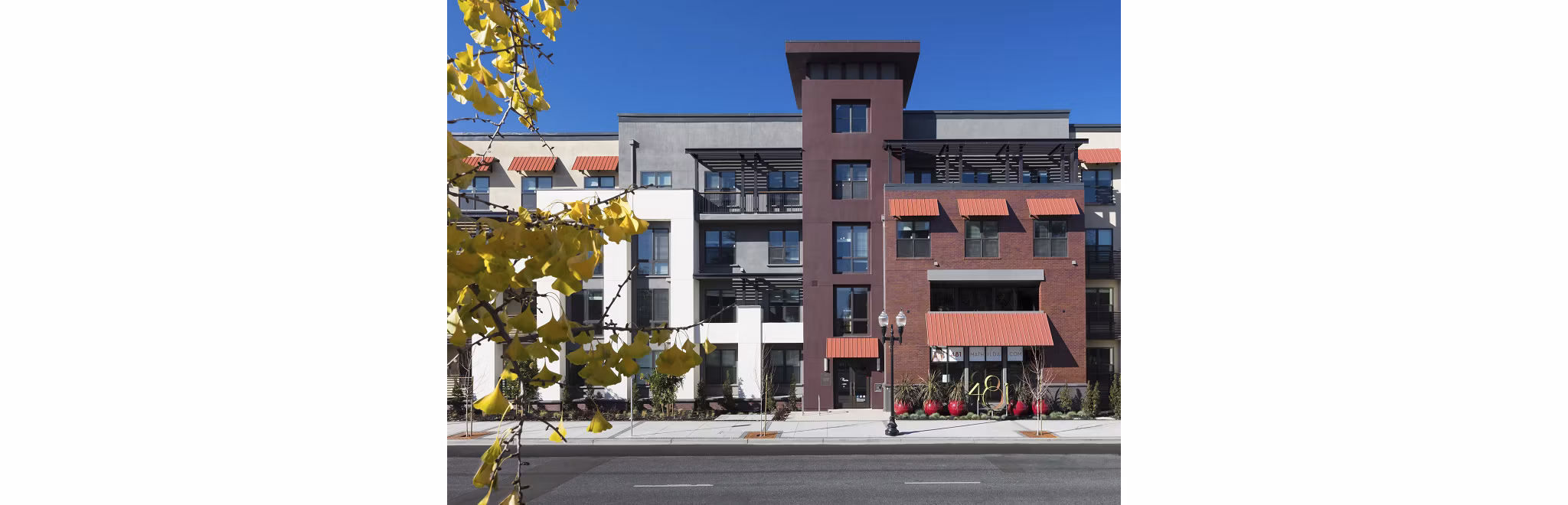 481 on Mathilda Apartments: Luxury view showcasing modern design in a prime urban location
