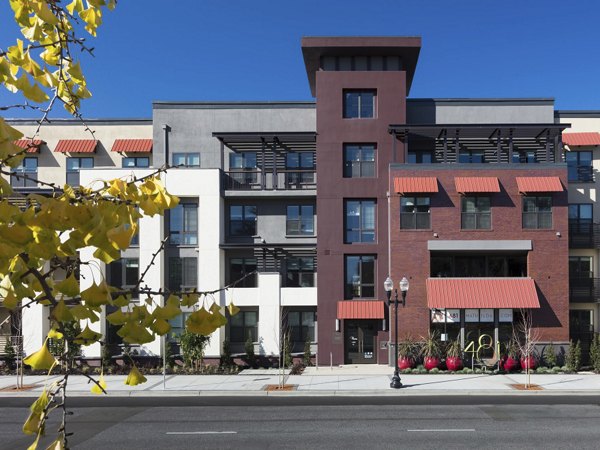 481 on Mathilda Apartments: Luxury view showcasing modern design in a prime urban location